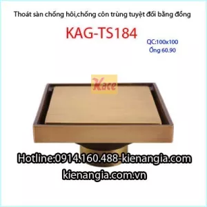 Phễu thu sàn chống côn trùng đồng giả cổ 100x100 mm D49-60-90 KAG-TS184.2