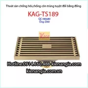 Phễu thu sàn dài đồng giả cổ 80x180 D49-60KAG-TS189