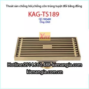 Phễu thu sàn dài đồng giả cổ 80x180 D49-60KAG-TS189