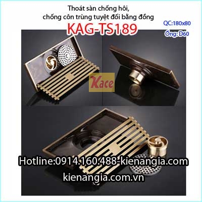 Pheu-thoat-san-chong-con-trung-bang-dong-gia-co-180x80-60-KAG-TS189-1