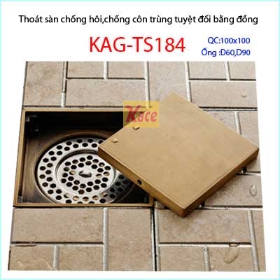 Pheu-thoat-san-chong-con-trung-bang-dong-gia-co-100x100-60-90-KAG-TS184-1