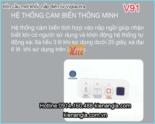 Bon-cau-dien-tu-thong-minh-Viglacera-Bet-ket-lien-V91-3