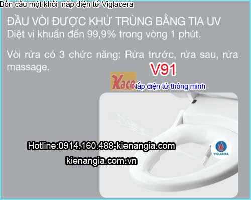 Bon-cau-dien-tu-thong-minh-Viglacera-Bet-ket-lien-V91-5