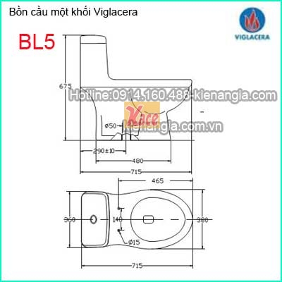 Bon-cau-lien-1-khoi-Viglacera-Bet-ket-lien-BL5-TSKT