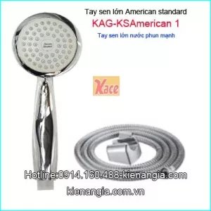 Tay sen lớn American standard KAG-KSAmerican1