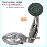 Tay sen  American standard nước phun đẹp KAG-KSAmerican2
