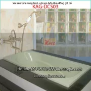Vòi sen bồn tắm nóng lạnh đồng giả cổ KAG-DSC03