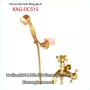 Vòi sen tắm lạnh đồng thau giả cổ KAG-DSC15
