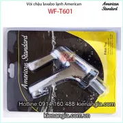 Vòi chậu lavabo lạnh American standard WF-T601