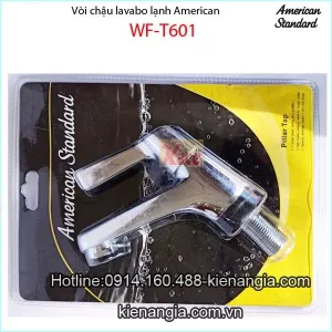 Vòi chậu lavabo lạnh American standard WF-T601
