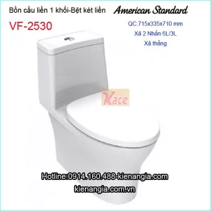 Bồn cầu 1 khối American Srandard VF-2530