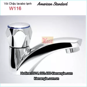 Vòi lavabo AMERICAN W116