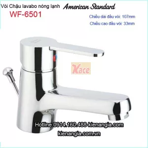 Vòi chậu lavabo nóng lạnh American Standard WF-6501
