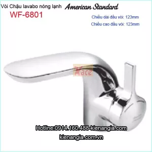 Vòi chậu lavabo nóng lạnh American Standard WF-6801