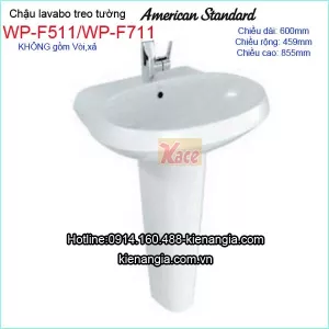Lavabo và chân dài American WP-F1511-F711