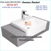 Lavabo bán âm bàn vuông American Acacia E-0519-WT