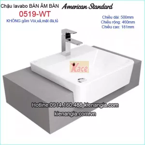 Lavabo bán âm bàn vuông American Acacia E-0519-WT