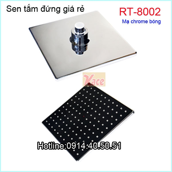 Sen-tam-dung-giare-roto-RT-8002-3