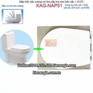 Nắp vuông bệt két liền đóng êm APPOLLO KAG-NAP51