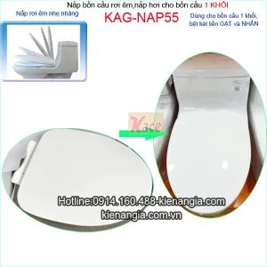 Nắp rơi êm cho bồn cầu 1 khối TOTO KAG-NAP55