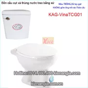 Bồn cầu cụt thùng nước treo tay gạt KAG-VinaTCG01