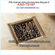 Phễu thoát sàn chống hôi đồng giả cổ 120x120 mm D60-90 KAG-TS187