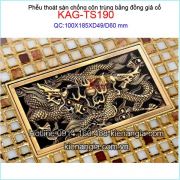 Phễu thu sàn dài đồng giả cổ 100x185 D49-60 KAG-TS190