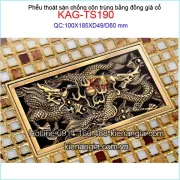 Phễu thu sàn dài đồng giả cổ 100x185 D49-60 KAG-TS190