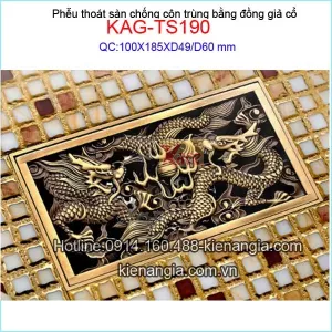 Phễu thu sàn dài đồng giả cổ 100x185 D49-60 KAG-TS190