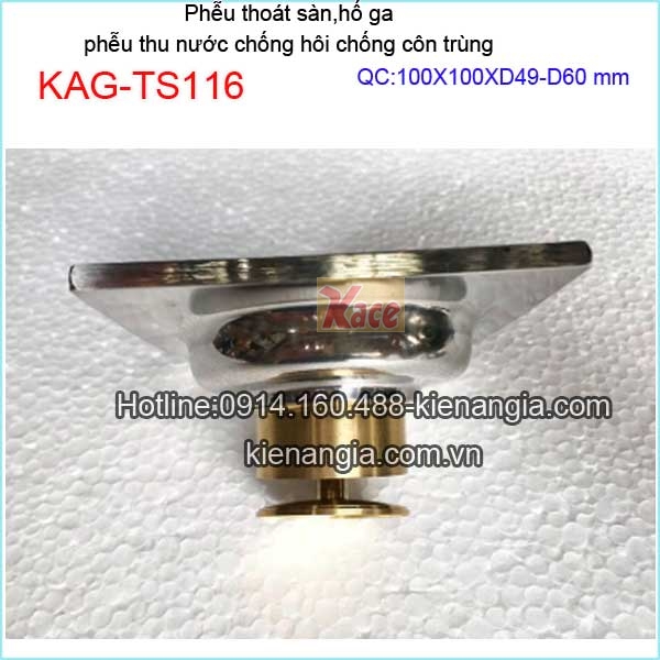 KAG-TS116-Pheu-thoat-san-chong-hoi-tuyet-doi-con-trung-100x100xd49-60-KAG-TS116-2