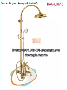 Sen cây,sen tắm đứng đồng mạ vàng cao cấp KAG-LUK13