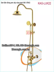 Sen cây,sen tắm đứng đồng mạ vàng cao cấp KAG-LUK22