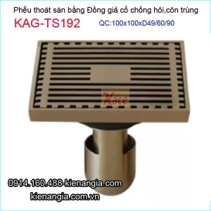 Thoát sàn đồng giả cổ chống côn trùng 100x100 D49-60-90 KAG-TS192