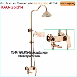 Sen cây nóng  lạnh đồng thau màu vàng hồng KAG-Gold14