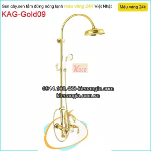 Sen cây nóng lạnh đồng thau màu vàng 24K KAG-Gold09