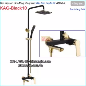 Sen cây,sen tắm đứng màu đen vàng 24K nóng lạnh KAG-Black10