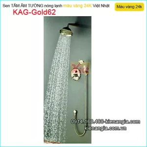 Vòi Sen âm tường đồng màu vàng 24K  KAG-Gold62