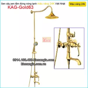 Sen phòng tắm kiếng,sen cây đồng màu vàng 24K KAG-Gold63