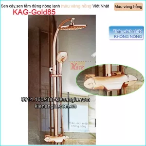 Sen phòng tắm kiếng đồng vàng hồng KAG-Gold85
