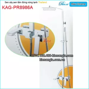 Sen vuông phòng tắm đứng,sen cây Thailand Prolax-KAG-PR8986A