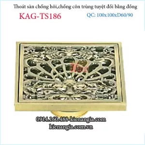 Thoát sàn chống côn trùng đồng giả cổ 100x100 KAG-TS186