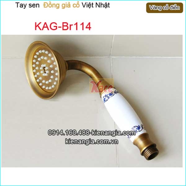 KAG-Br114-Tay-sen-vang-dong-co-dien-KAG-Br114-1