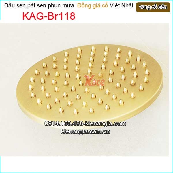 KAG-Br118-Dau-sen-phun-mua-vang-dong-co-dien-KAG-Br118-1