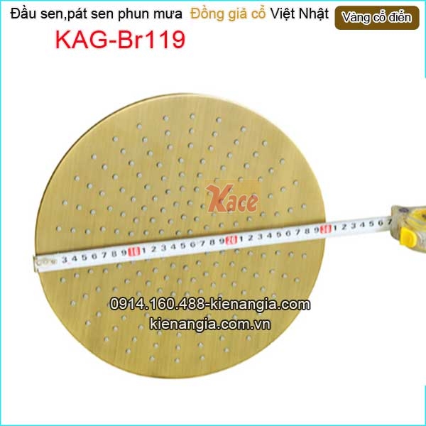 KAG-Br119-Dau-sen-phun-mua-vang-dong-co-dien-KAG-Br119-1