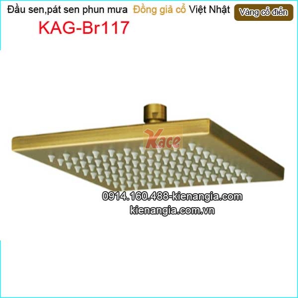 KAG-Br117-Dau-sen-phun-mua-vang-dong-co-dien-KAG-Br117