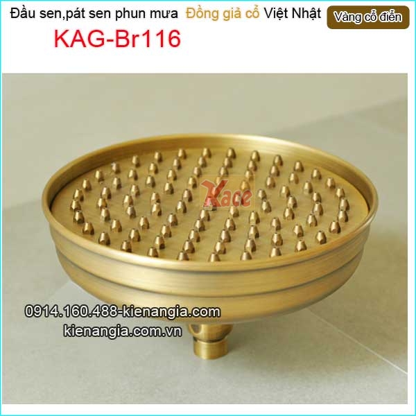 KAG-Br116-Dau-sen-phun-mua-vang-dong-co-dien-KAG-Br116-1