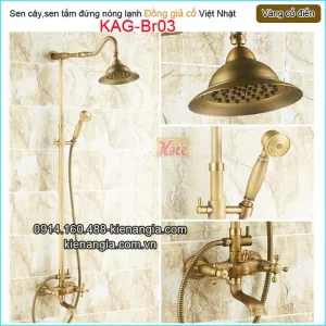 Sen cây nóng lạnh vàng đồng giả cổ KAG-Br03