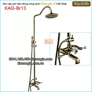 Sen phòng tắm đứng đồng giả cổ KAG-Br13