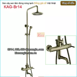 Sen phòng tắm đứng đồng giả cổ KAG-Br14