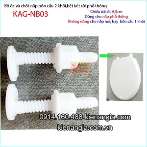 Ốc và chốt nắp bồn cầu phổ thông KAG-NB03